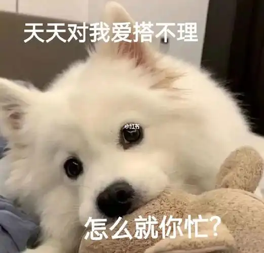 烦死了再也不要当粘人精了