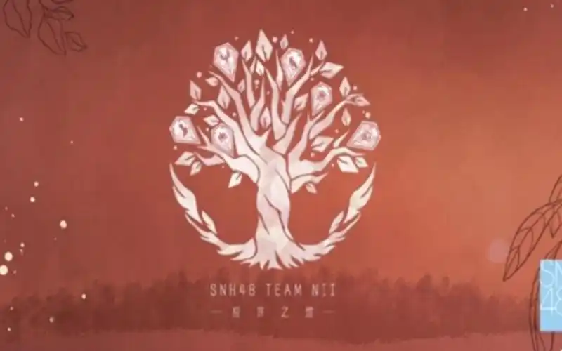 20240509【snh48】teamnii《应许之地》(第四十七场)公演mc