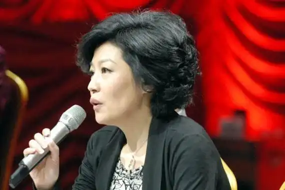 哈文简历及个人资料李咏的妻子哈文又结婚了吗