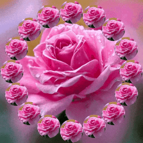 640_640gif 动态图 动图