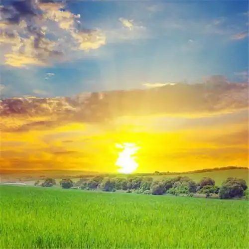 唯美小清新风景头像