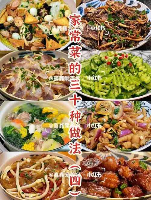 92家常菜的三十种做法四好吃易学易上手