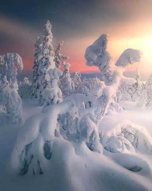 冬天摄影必看!瑞典风光摄影师教你如何拍出唯美雪景大片