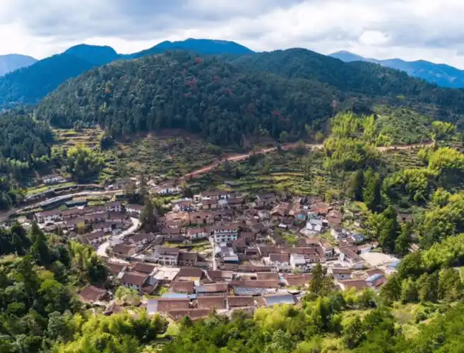 处州村游去:庆元这几个低调古村落,美了千百年～_村庄