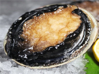 冻品宝黑金鲍-黑金鲍批发