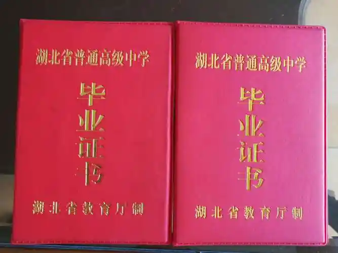 三个假毕业证后续江陵一中存在严重失职失责