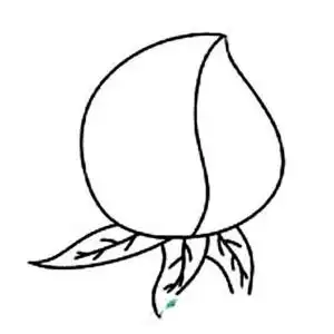 树上的桃子简笔画图片,图片,简笔画-学笔画