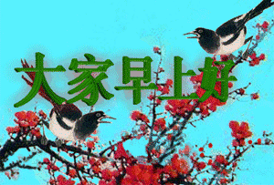 早安动态问候语 早上好问候表情包