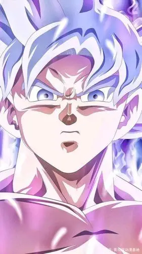 龙珠图集:自在极意功专场,真正的神之领域