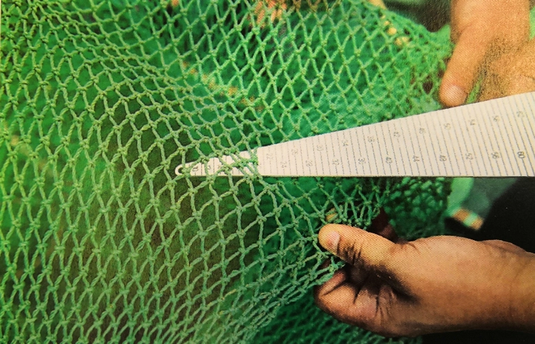 长江十年禁渔期内非法捕捞水产品罪案今日开审:9人分别获刑