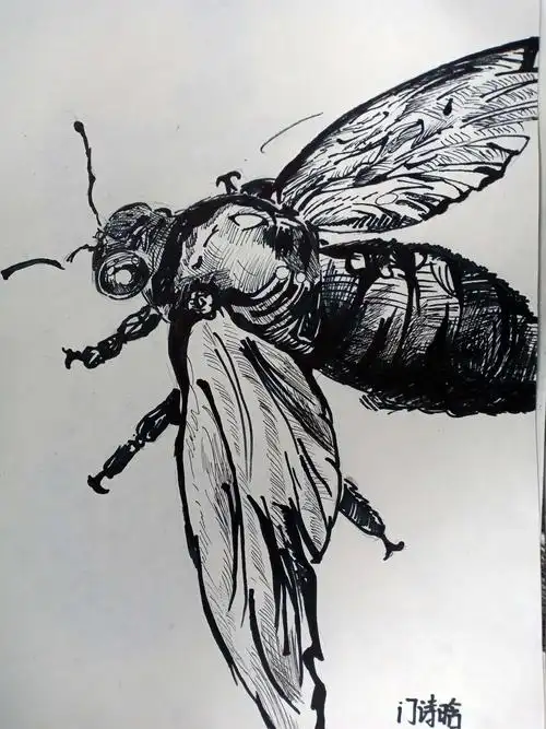 素描班第44轮作品《昆虫》