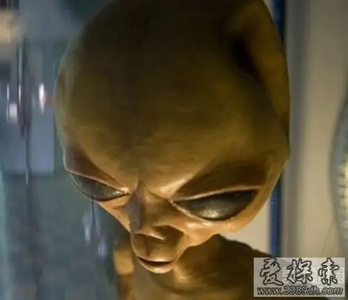外星人长啥样?揭秘外星人的十大骇人特征(3)