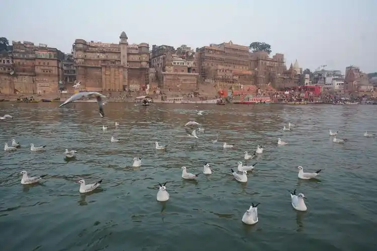 印度恒河晨曦 - 美篇