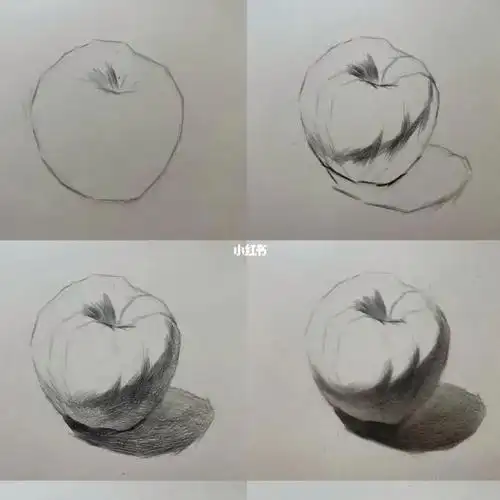 素描干货苹果步骤