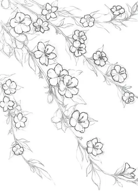 简笔画迎春花画法关于迎春花枝干简笔画迎春花水彩风格插画迎春花线描