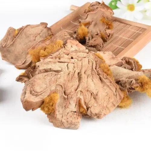 狗脊 金毛狗脊 金毛狮子 黄狗头野生中药材500克包邮