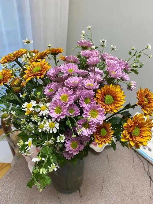 超爱各种小雏菊