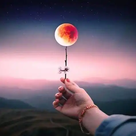 2022适合一辈子头像,高清2022年适合永久做头像的图片_微信头像_头像