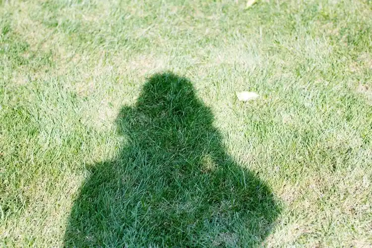 影子- 堆糖,美图壁纸兴趣社区