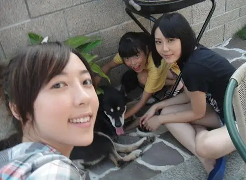 虽然蔡芷纭和利昂霖两人在外貌身形上看上去非常搭配,也是粉丝十分看