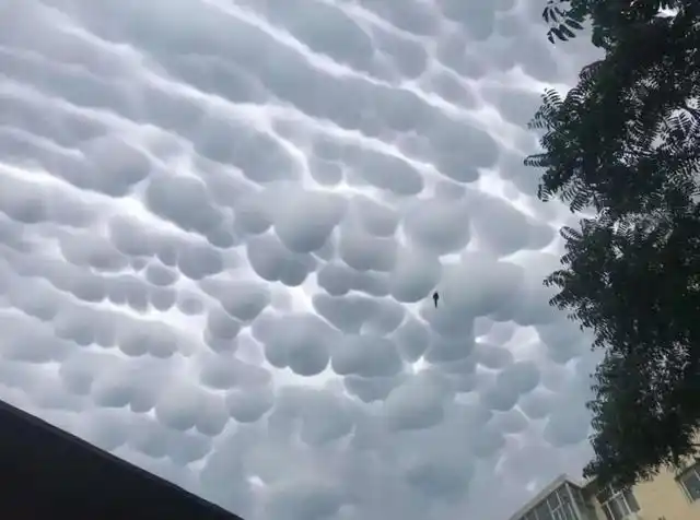 十分罕见的"乳状云",是怎样形成的?奇怪的云是否能预示灾难?