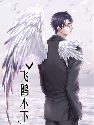 飞鸥不下 - 漫画全集在线观看 - 哔哩哔哩漫画