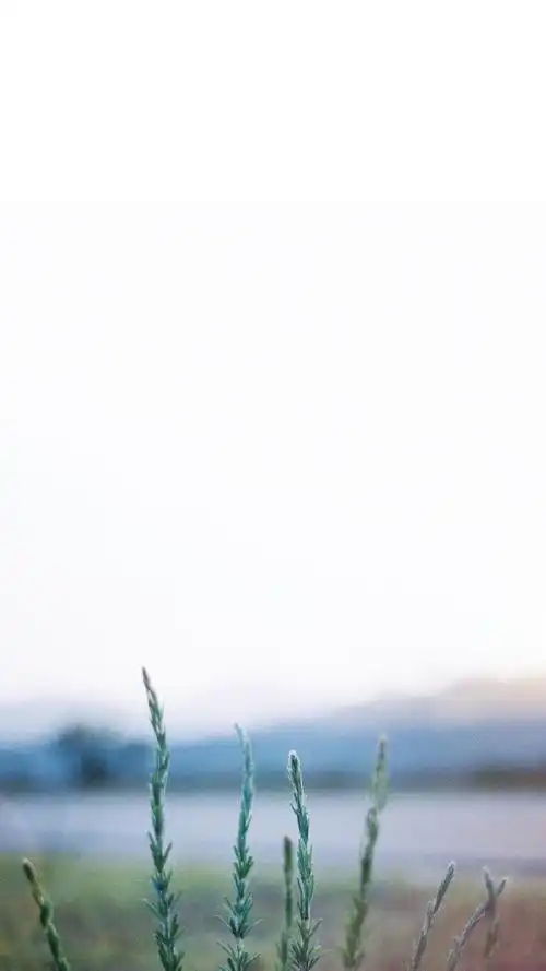 清新治愈系自然风景手机壁纸