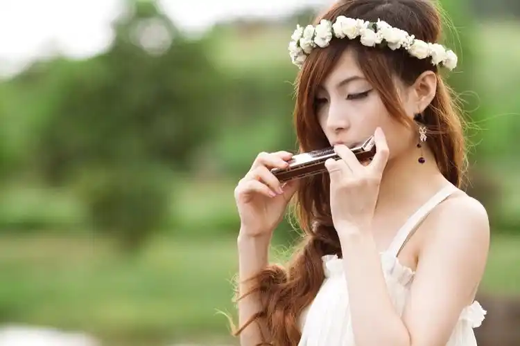 口琴的历史来源_入门_口琴_西洋乐器_知识_资讯_稻蕊咪音乐网