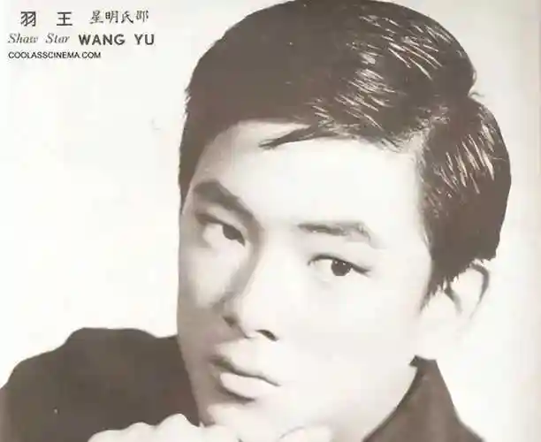 台湾见谢贤成龙虎口脱险功夫巨星王羽现状如何