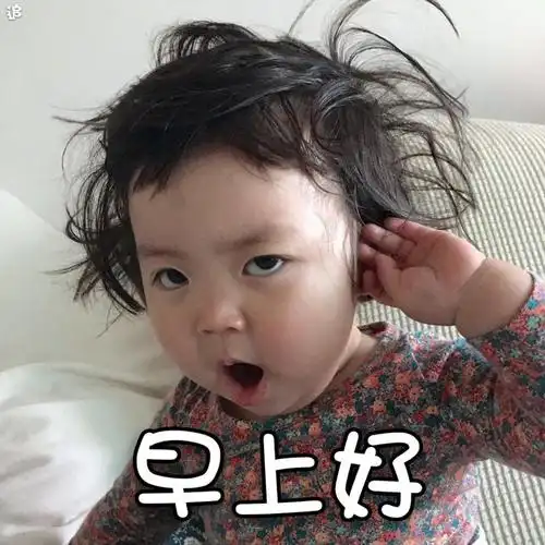 追早上好罗熙罗熙早上好表情