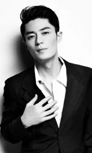 霍建华(wallace huo),因为他在《天下第一》中扮演的归海一刀而喜欢他