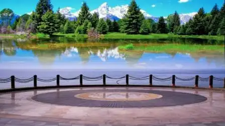 金南漳梅影广场舞《抠像背景素材》