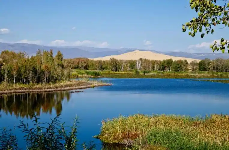白沙湖打造计划天府新区迎发展契机麓山板块俘获白沙红利
