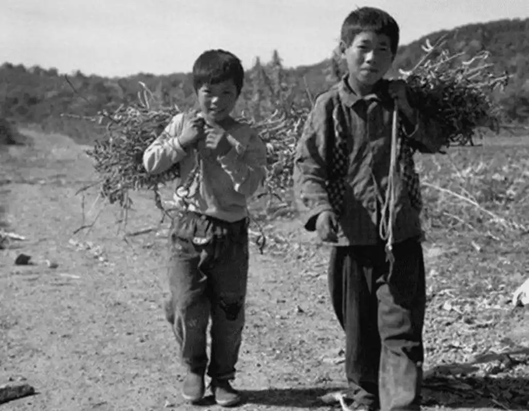 七十年代农村老照片:挥不去的童年回忆!