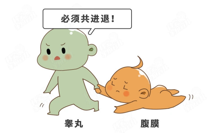 从"蛋蛋"到"单蛋",只因娃和家长不重视,错过了最佳治疗期