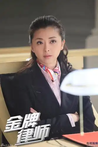 金牌律师剧照-电视指南