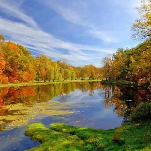 春暖花开81625747头像