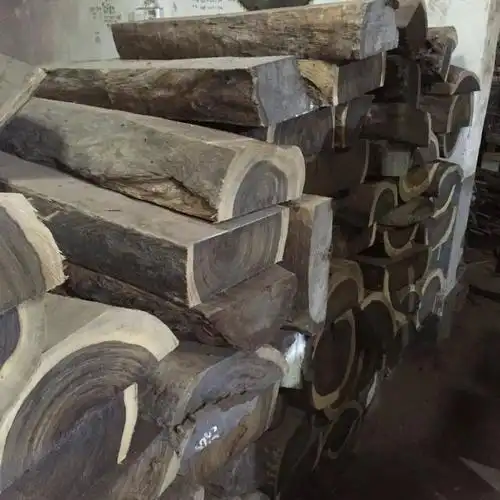 黑檀木形态特征