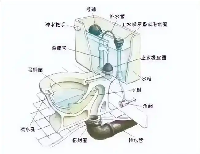 为啥马桶有一大一小两个按钮?我也今天才清楚,切记之后别瞎按了