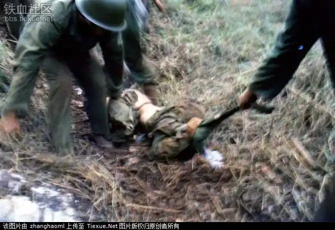 (原创)浴血的战地摄影(像)英雄 - 老山魂 - shizhengde 的博客