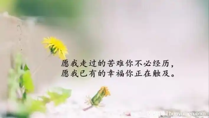 经历只有自己懂的句子现实生活又很扎心的句子