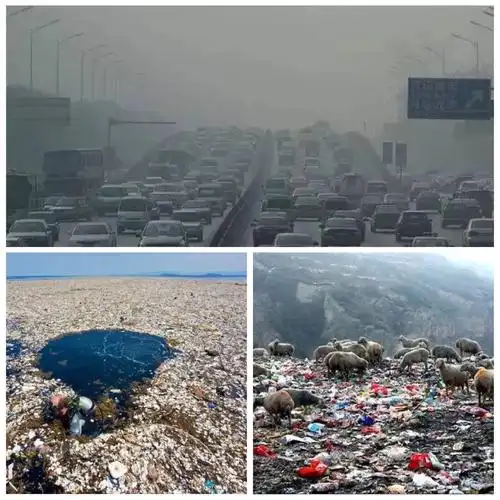 其它 七彩幼儿园——世界地球日倡议书 写美篇地球面临的现状