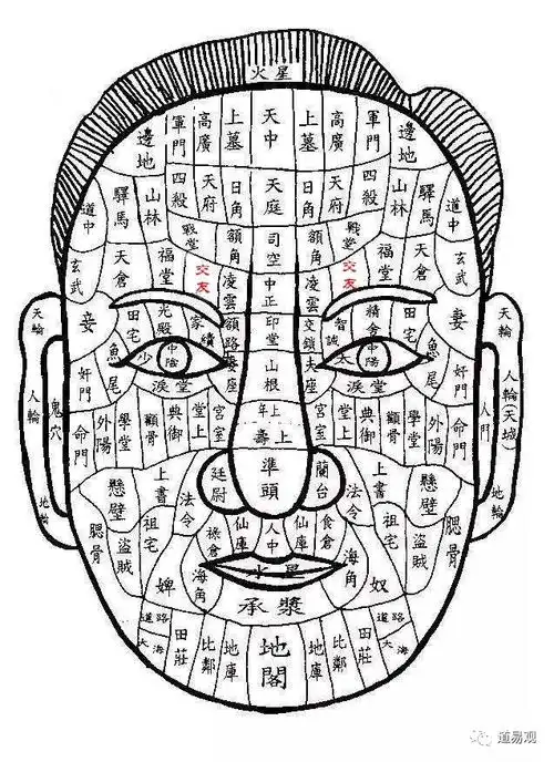 怎么拯救你——我的爱情 什么面相的人妻子会有外遇