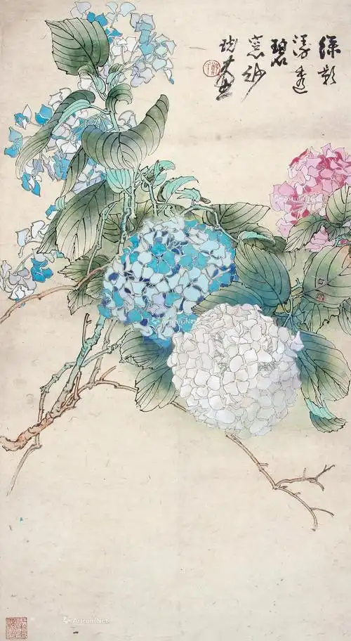 *0035 工笔绣球花 镜片 设色纸本