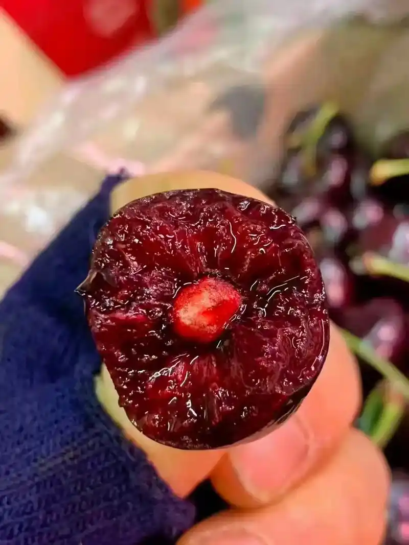 桑提娜车厘子大樱桃,口感偏甜,可溶性固型物高达18%,爱你的 - 抖音