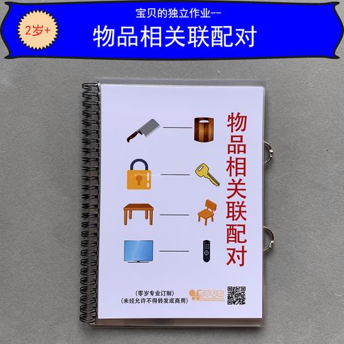 物品相关联配对早教益智语言训练自闭症孤独症儿童发育迟缓教具