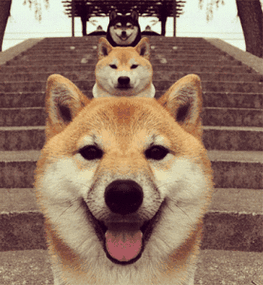 大姨介绍的相亲对象,妹妹询问相亲对象咋样,姐姐:比洗脸还过瘾