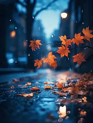秋季雨天枫叶飘落在街道上
