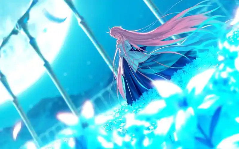 fgo月姬公主爱尔奎特10宝lv120十羁绊纪念