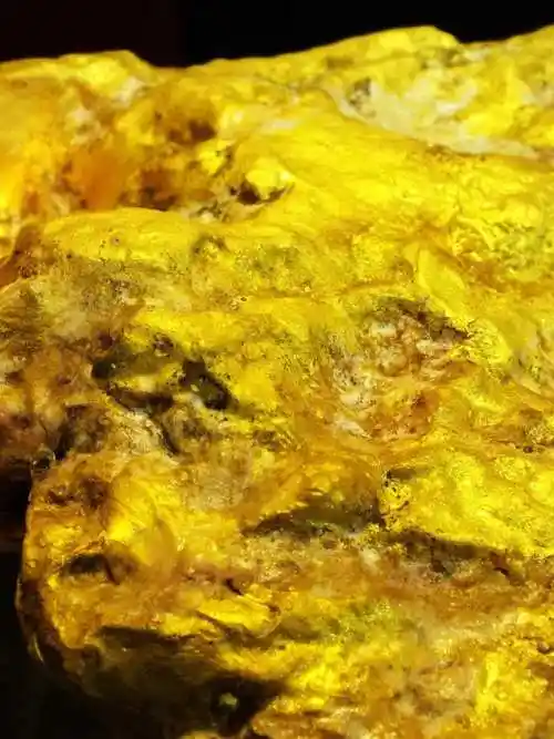 天然产出的狗头金具有闪闪发亮的金黄色外表,辨识度很高,但它的质地并